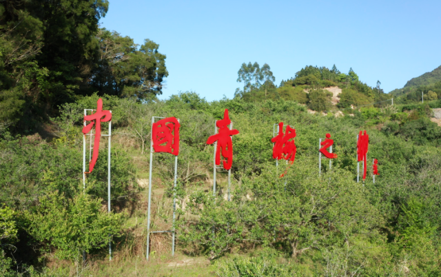 陆河县是中国青梅之乡。 陆河县是中国青梅之乡。