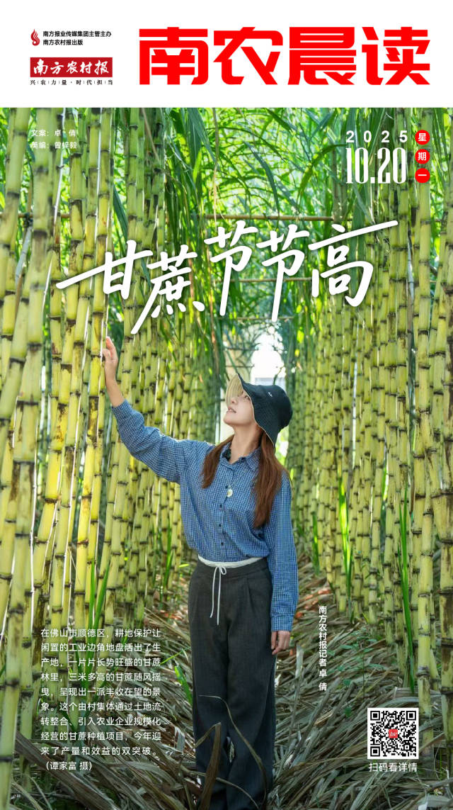 南方农村报 巢芮 制图