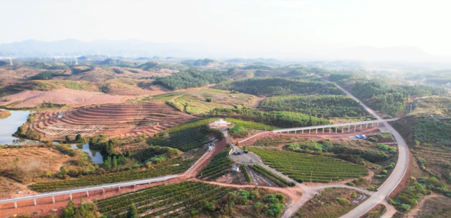 灯塔盆地灌區的油茶基地。