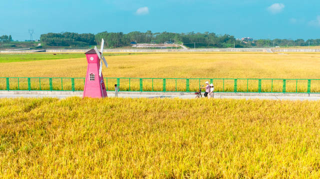 湛江雷州青年运河灌区（廉江）。