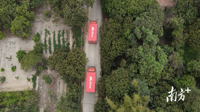 茂名荔枝最快可于24小时内送达国内主要销区城市。