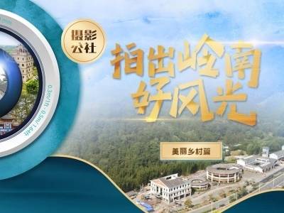 摄影公社·拍出岭南好风光