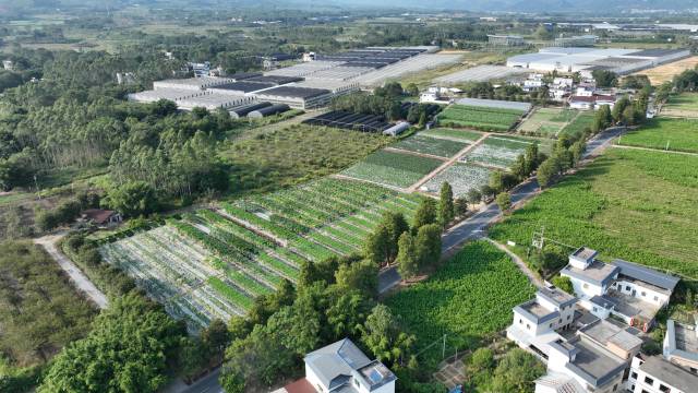 抢先解锁！第24届广东种业博览会粤北（翁源）分会场有十大看点