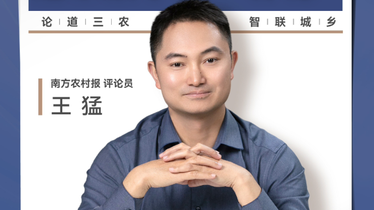 兴农评丨老人一纸婚书 迎来数字化“补课”