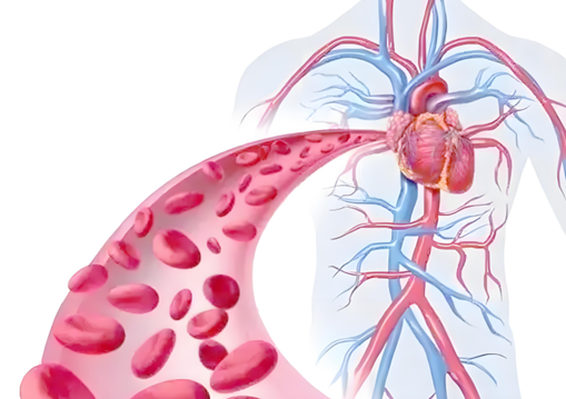 没时间锻炼?试试这3个“碎片时间护血管”习惯