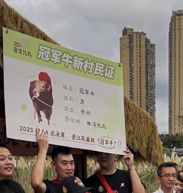 福建晋江为冠军牛颁发“新村民证”。