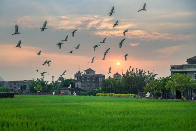 广东持續推動農村精神文明創建五大行動落地見效。圖為江門浮月村。