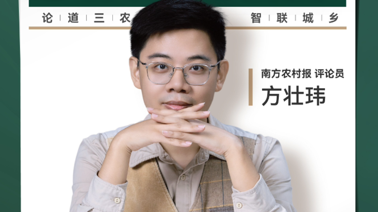 兴农评丨玉米当燃料，是助农还是浪费？