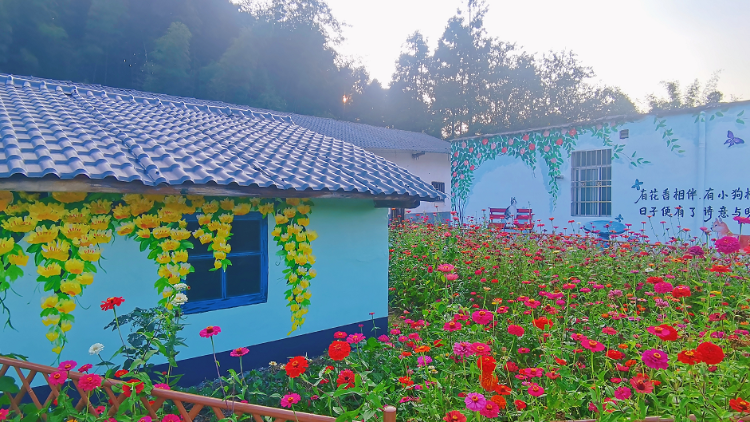 瑶乡这个“宝藏村”如何实现既美又富？