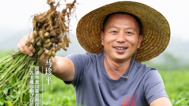 马珍平：“豆”志昂扬迎丰年