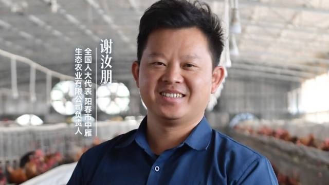 谢汝朋：“鸡司令”育出“金凤凰”