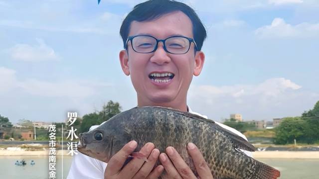 罗水渠：满塘罗非，年年有鱼