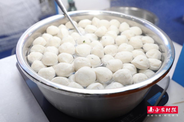 汕尾三鲜展区的海鲡鱼丸圈粉众多食客。