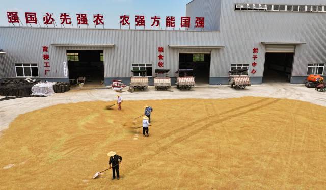 现代农事综合服务中心要突出服务小农。