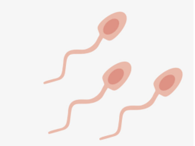 不只是小蝌蚪的数量游戏：中医视角下的精子颜值与活力