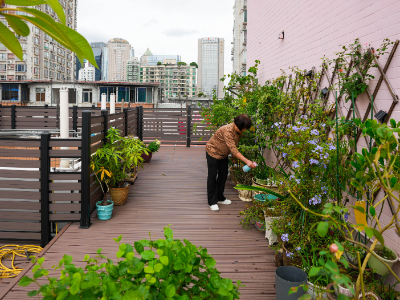 “老破小”也能享受“大天台”！越秀通过爱国卫生运动重塑城市第五立面