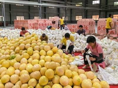 兴宁市水口镇帮扶工作队与企业共建帮扶车间，铺就乡村振兴“幸福路”