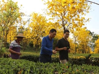 广东的劳模工匠，如何用绝活做大做强家乡特产？