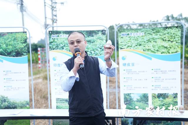 徐守俊博士在田头讲解绿肥种植相关技术