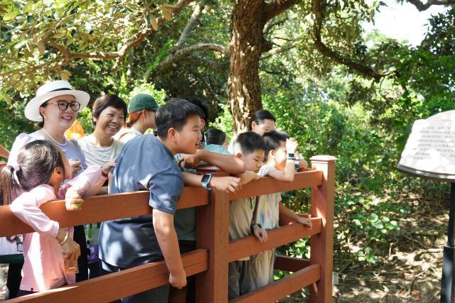 坝光自然学校开展古树保护活动  