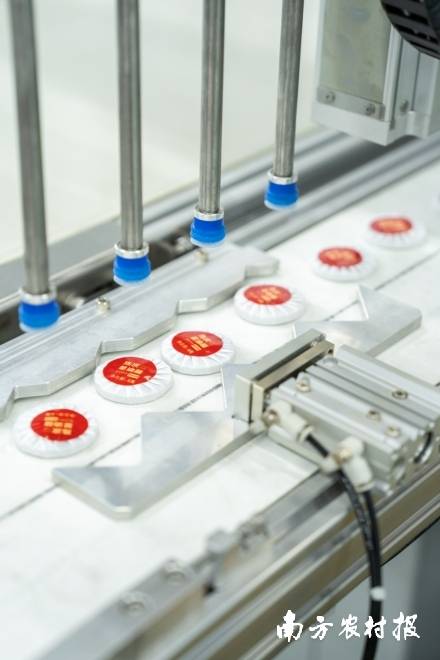 侨宝陈皮星油藤系列产品自动化生产线。