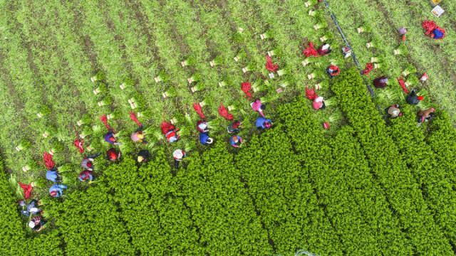 霜降时节，祖国大地农事忙。