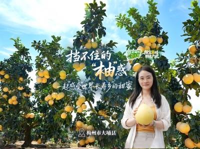 年产值超65亿元，挡不住的梅州“柚”惑｜粤来粤好百千万
