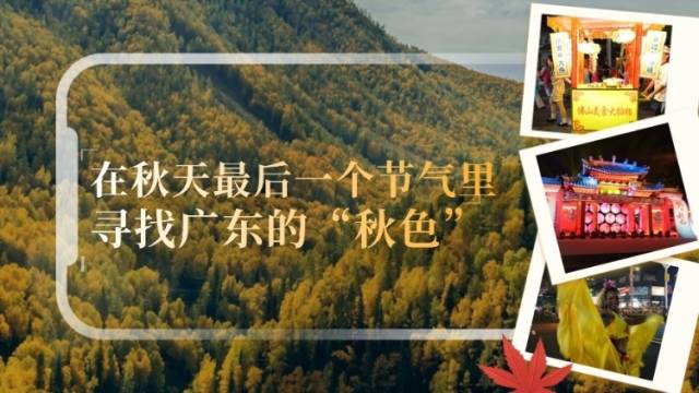 在秋天最后一个节气里，寻找广东的“秋色” | 粤来粤好百千万