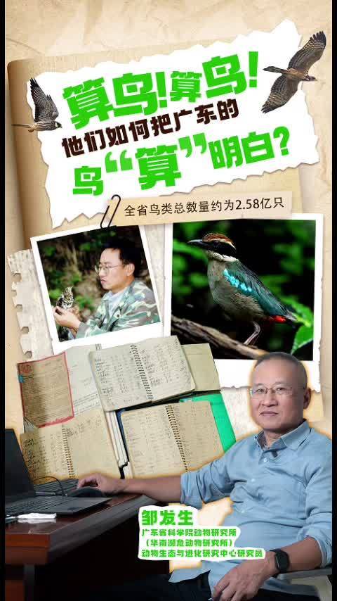 算鸟!算鸟!他们如何把广东的鸟“算”明白?