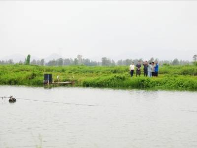 台山：“法院+综治中心”联合调解，平息过百万元“咸围纠纷”