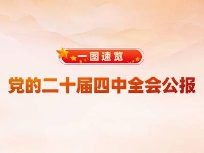 学习时节｜一图速览党的二十届四中全会公报