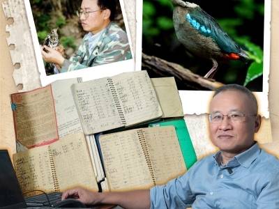 算鸟！算鸟！他们如何把广东的鸟“算”明白？