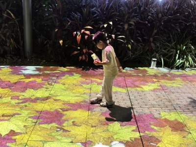 光影焕新城市夜活力，来南沙凤起湖解锁休闲新方式｜全运看南沙