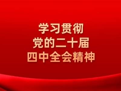 学习贯彻党的二十届四中全会精神