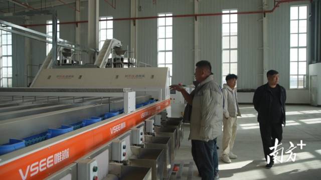 与会代表参观红枣加工生产线。