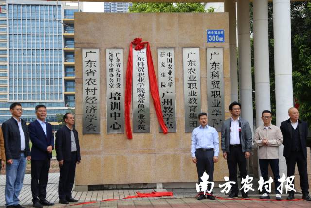 南方农村报 杨玲 拍摄