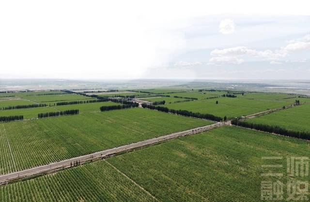 万亩红枣园。图源三师融媒