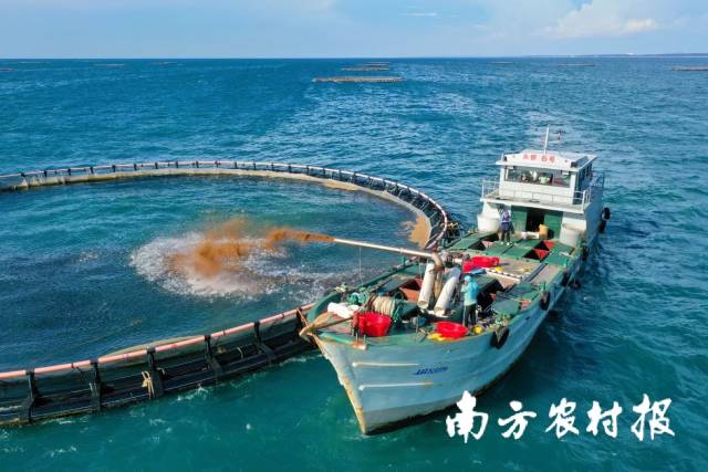 南方农村报 孙岁寒 拍摄