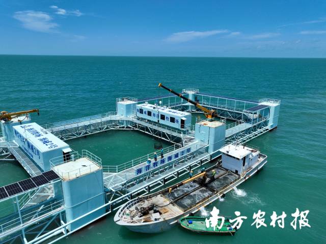 南方农村报 孙岁寒 拍摄