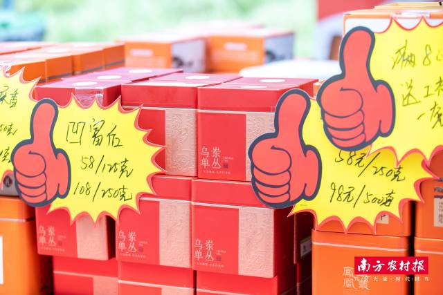 潮州凤凰单丛系列产品。