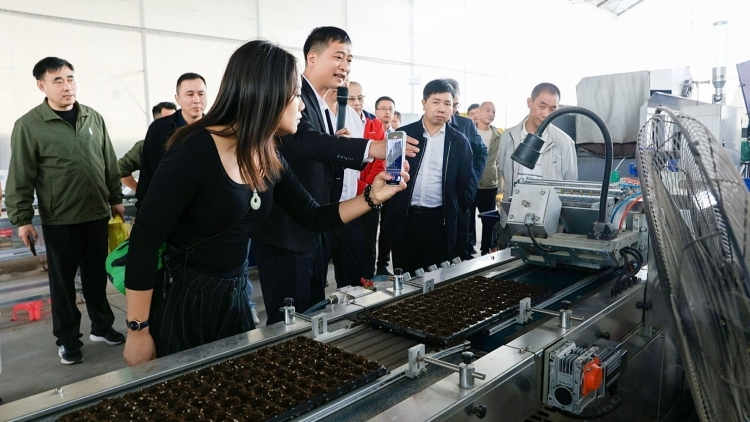 选好品种来这里！广东种博会粤北（翁源）分会场持续至月底