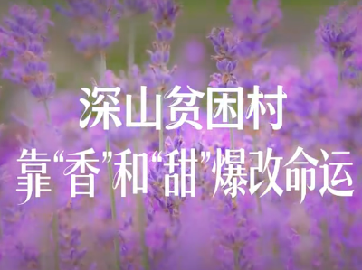 视频｜深山贫困村，靠“香”和“甜”爆改命运！