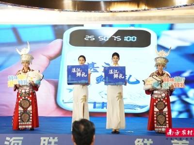 粤黔协作谱新篇！湛江海鲜热销贵州市场