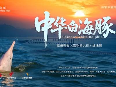 十五运吉祥物原型即将亮相大银幕！纪录电影《中华白海豚》在珠海举行首场试映