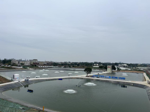 京塘农业科技有限公司鸟瞰图。