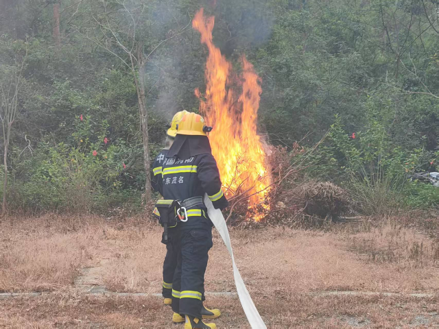 消防队员应对突发火情快速反应，精准扑灭。