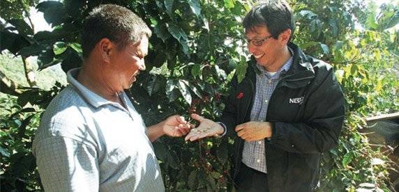 雀巢咖啡农艺部经理孔赞龙在指导普洱咖农