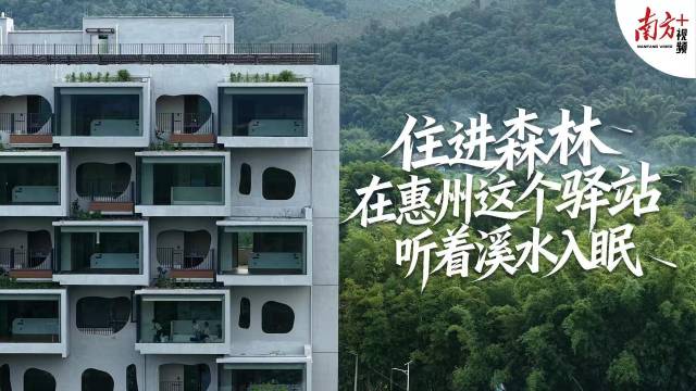 住进森林！在惠州这个驿站听溪水声入眠｜寻迹218最美公路㉘