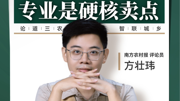 兴农评丨研究所柑桔脱销 专业是硬核卖点