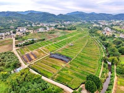 从荒地到“聚宝盆”，梅县区南口镇南龙村的丰收密码